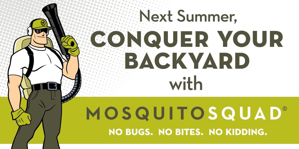 Next_Summer_Use_DC_Mosquito_Squad