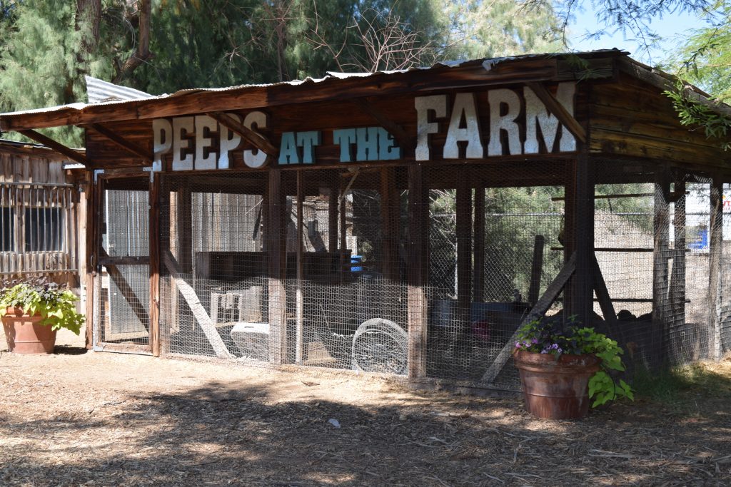 The Farm At South Mountain